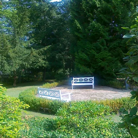 Apartment Residenz Bleichröder - Ferienwohnung Aurelia Ostseebad Heringsdorf